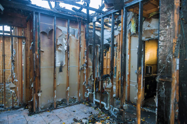Professional Emergency Fire Cleanup technician working in Lake Kerr, FL
